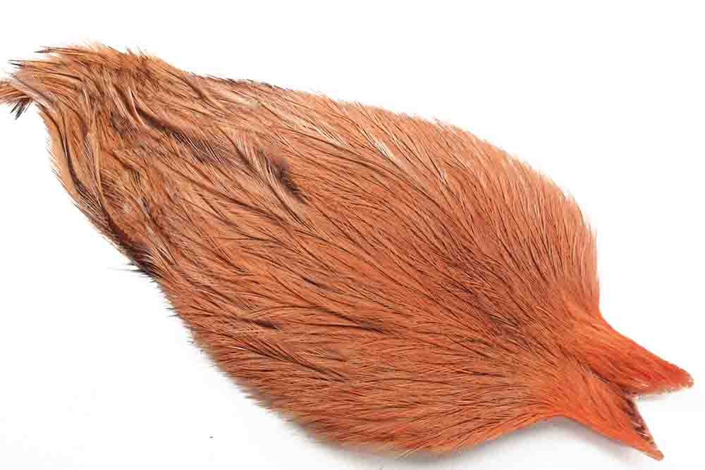 Whiting Coq De Leon Cape Badger i Laks Rosa - Hel Nakke